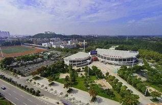 武汉东西湖最新爆料,揭秘区域发展新动向与亮点  第1张