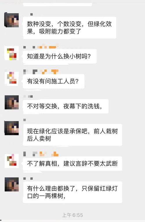 大树爆料视频,揭秘视频背后的惊人真相  第3张