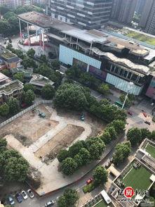 武汉潘大观最新爆料,揭秘武汉重大事件背后真相  第1张